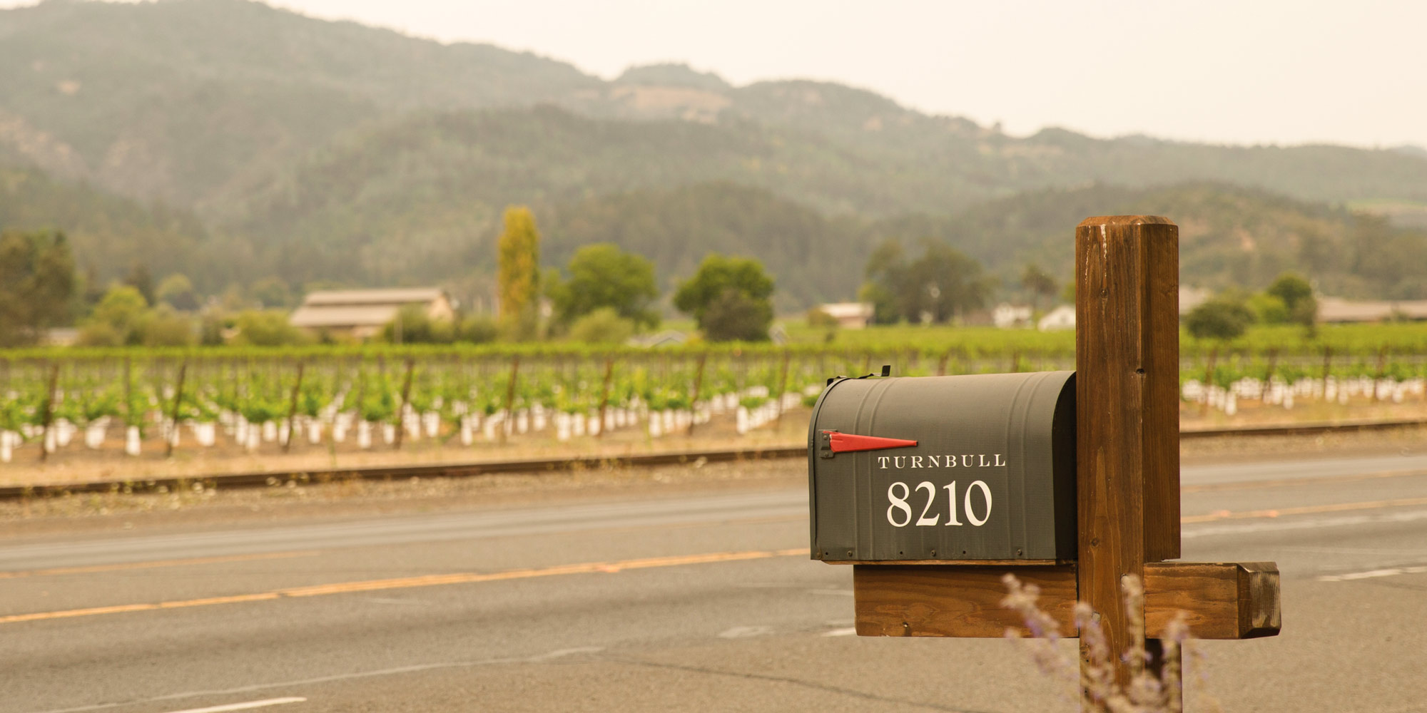 Picture of Turnbull Wine Cellars' Mailbox.